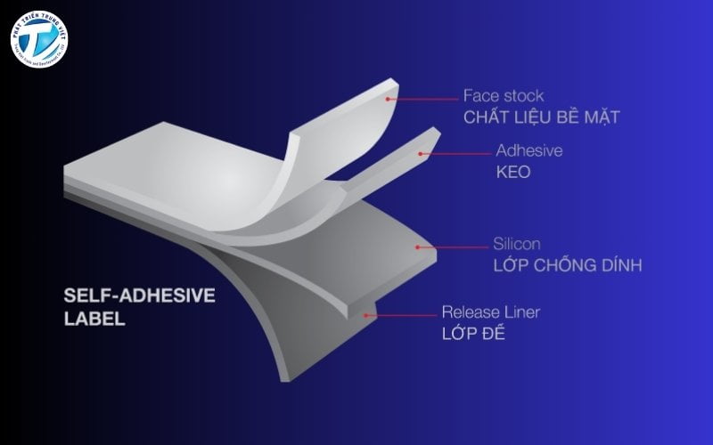 Cấu tạo lớp decal 